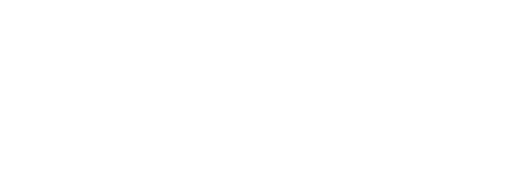 Development in Language Studies